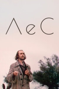  Лес 